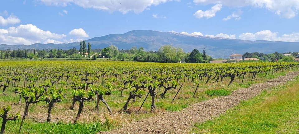 Le Bonheur à Ventoux Bed and Breakfast in Provence-Alpes-Côte d'Azur