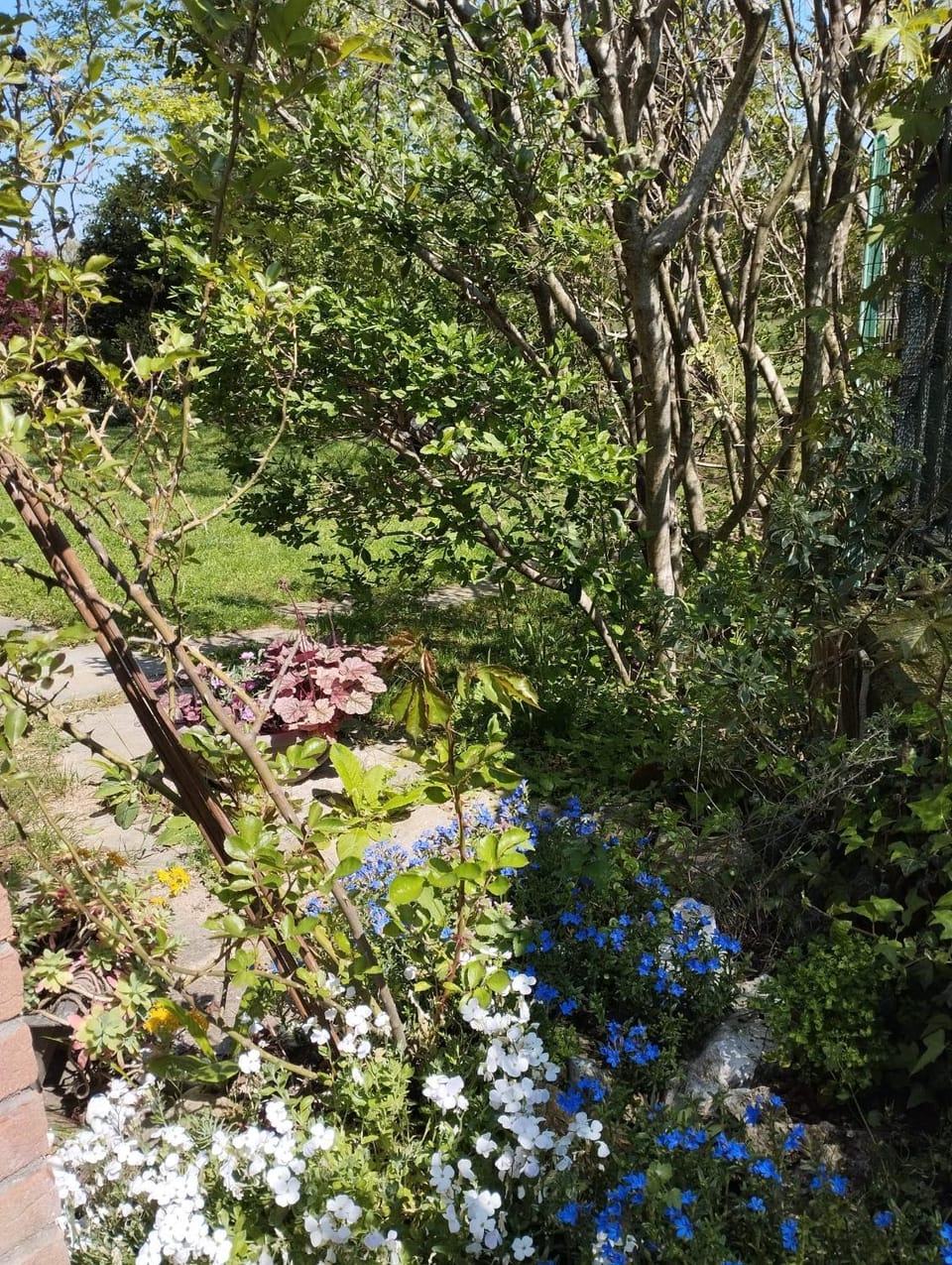 B&B Rubino Bed and Breakfast in Liguria