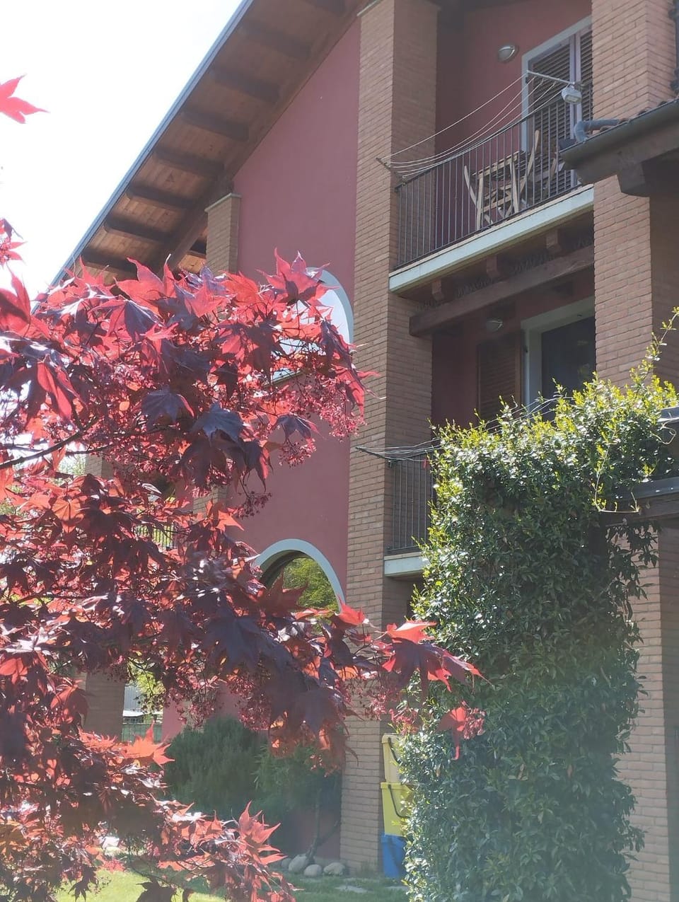 B&B Rubino Bed and Breakfast in Liguria