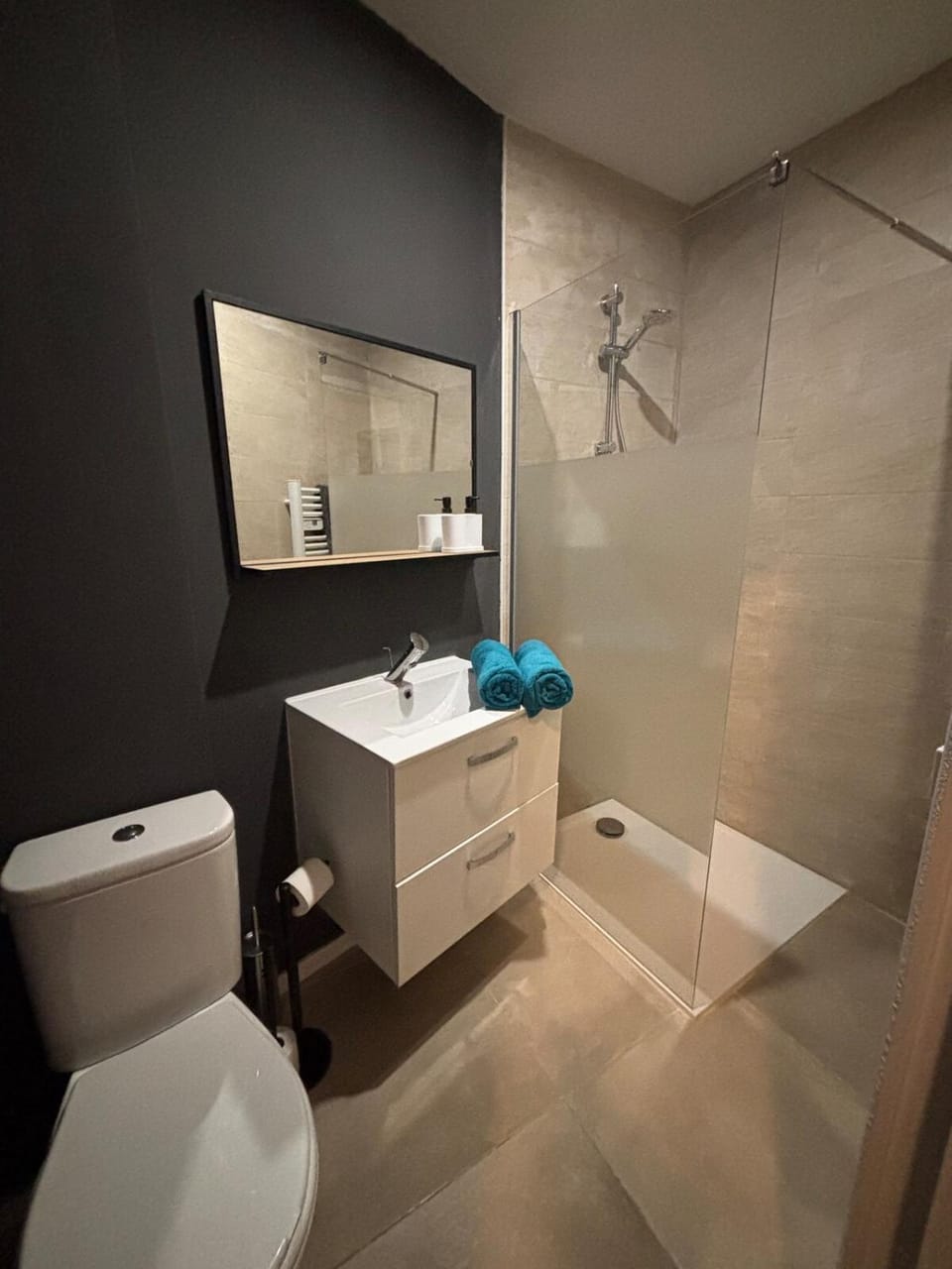 Appartement rénové au cœur du centre historique de Béziers Apartment in Béziers