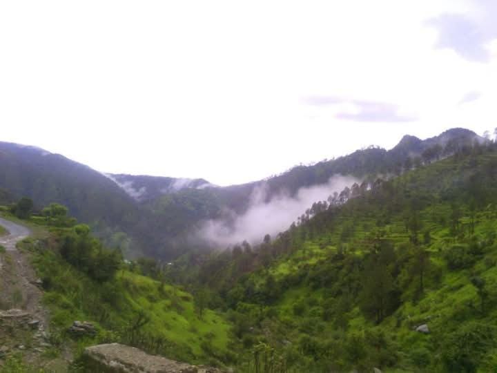 Mountain Bliss Stay Ramola garhwali restaurants Vacation rental in Uttarakhand