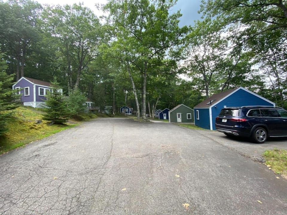 Neighbourhood, Natural landscape, Street view, Parking