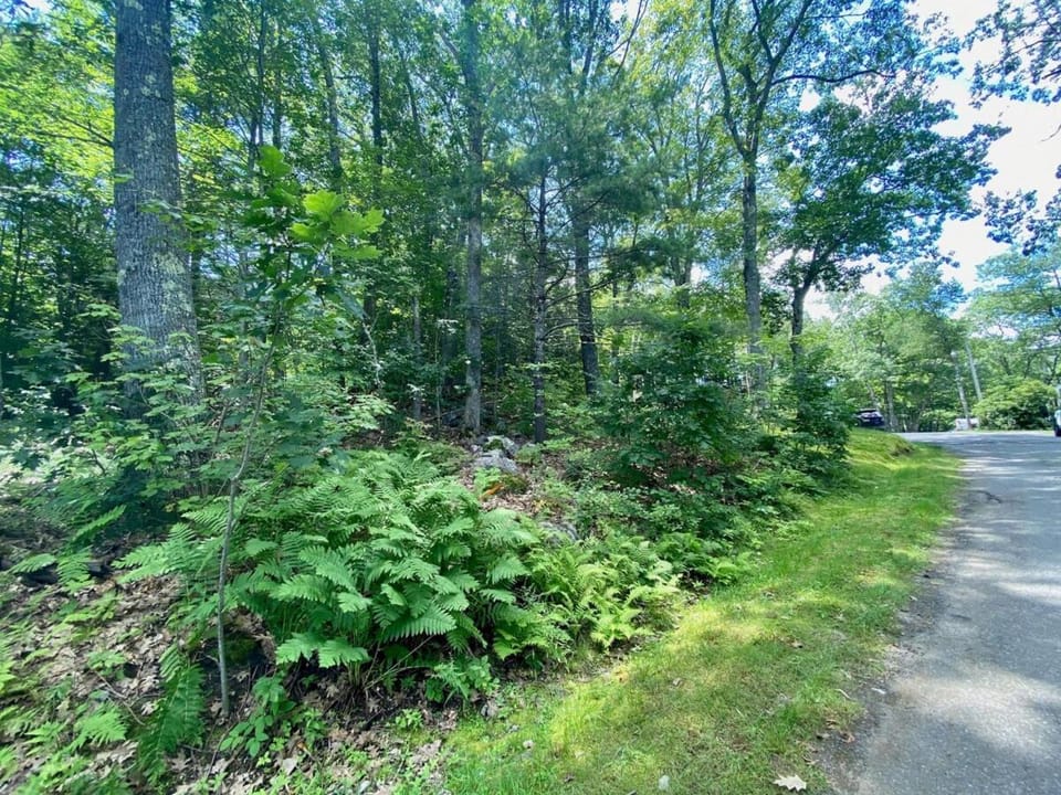 Neighbourhood, Natural landscape, Garden, Garden view
