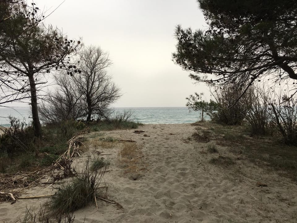 Beach