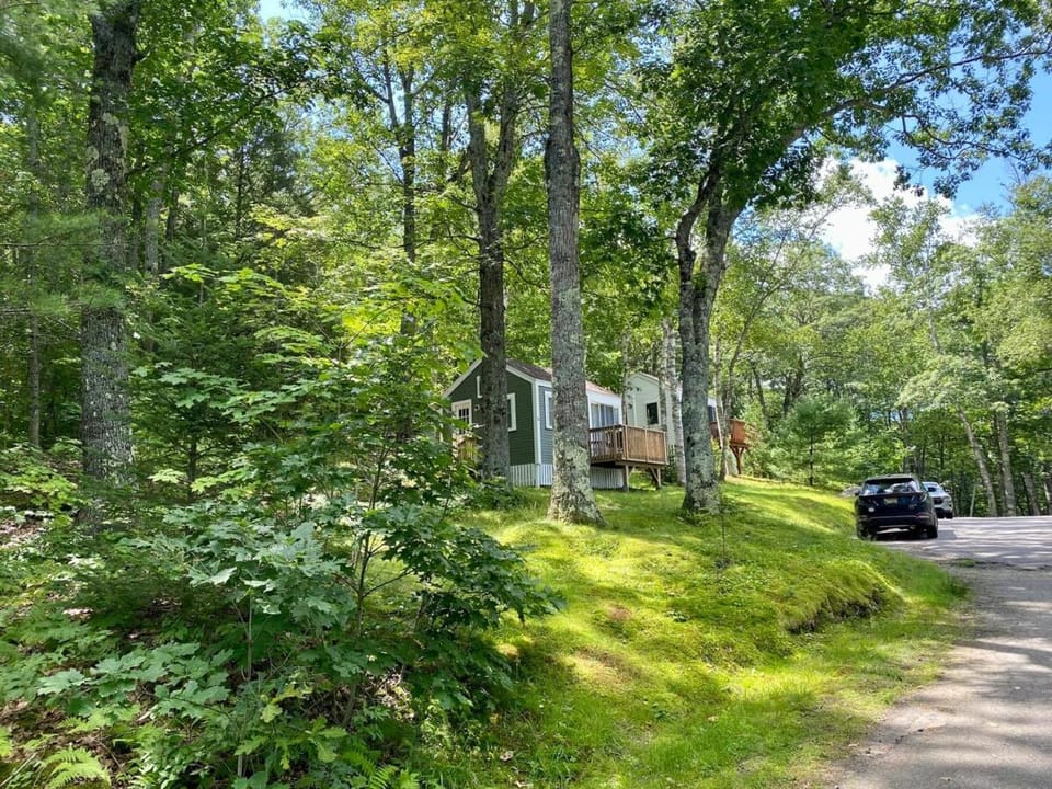 Neighbourhood, Natural landscape, Garden, Garden view, Street view, Parking