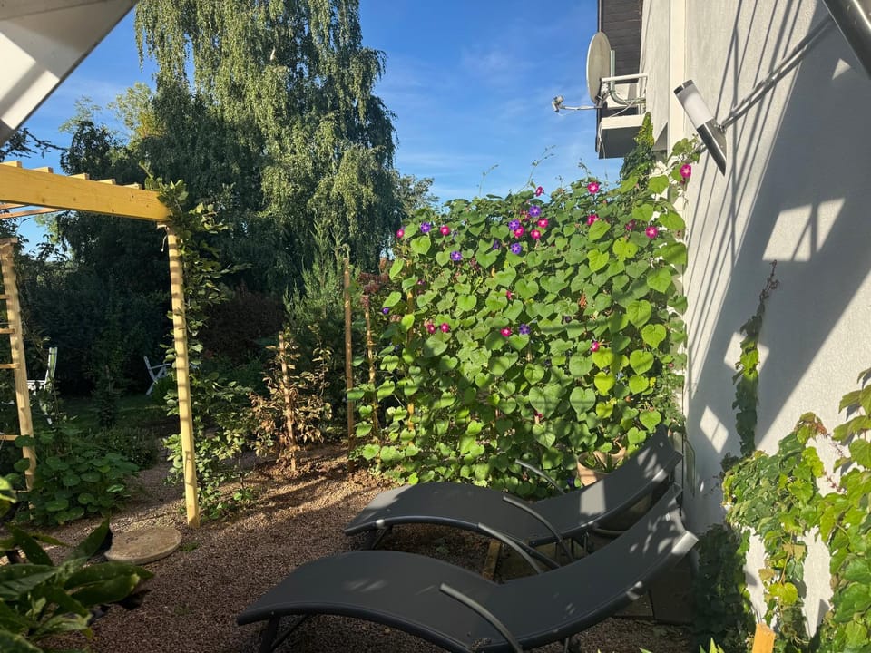 Un havre de paix en Berry Apartment in Centre-Val de Loire
