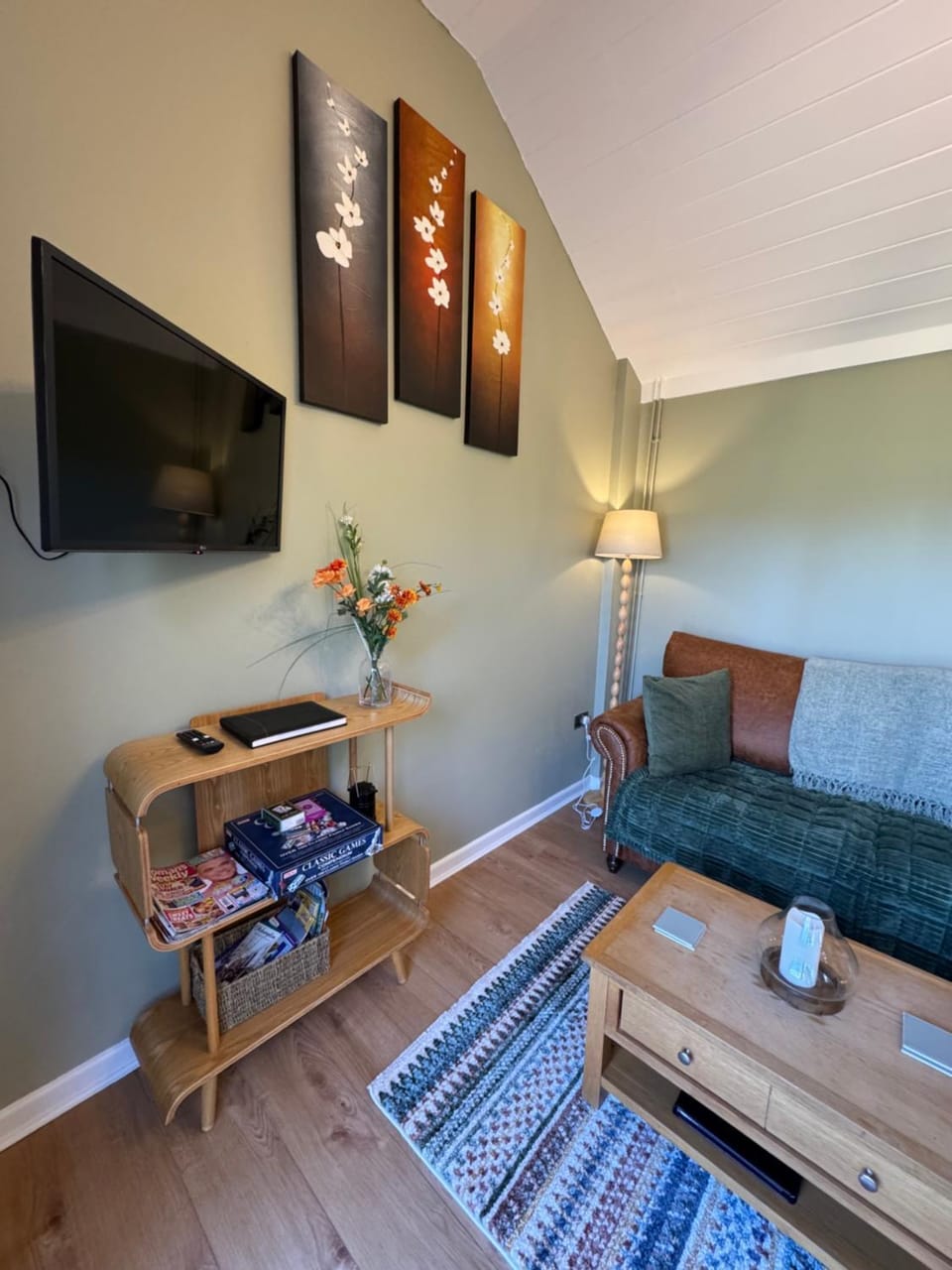 TV and multimedia, Living room, internet, pet friendly