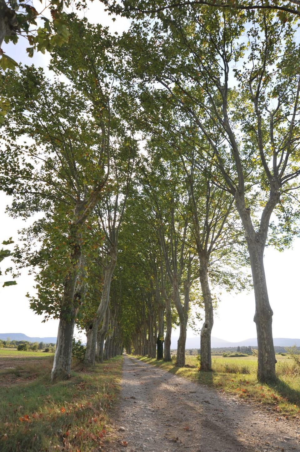 Domaine de Ceyrac Bed and Breakfast in Occitanie