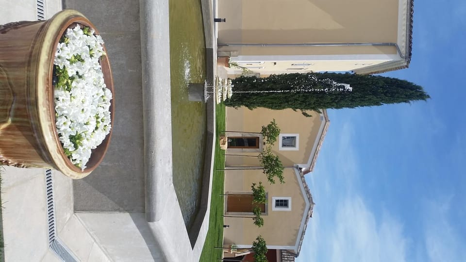 Domaine de Ceyrac Bed and Breakfast in Occitanie