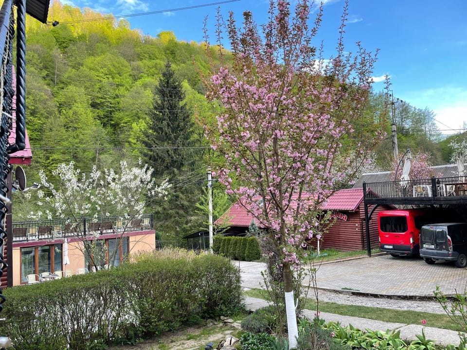 Guest house Nad Tisou Bed and Breakfast in Ukraine