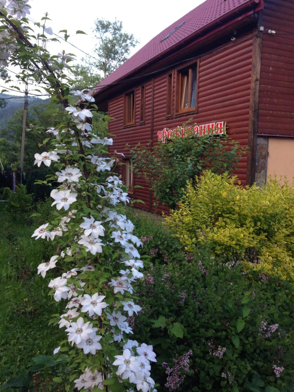 Property building, Day, Garden view