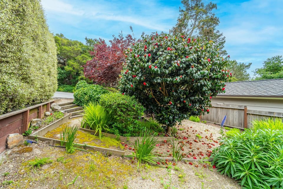 Carmel Romantic Escape for 2 House in Carmel by the Sea