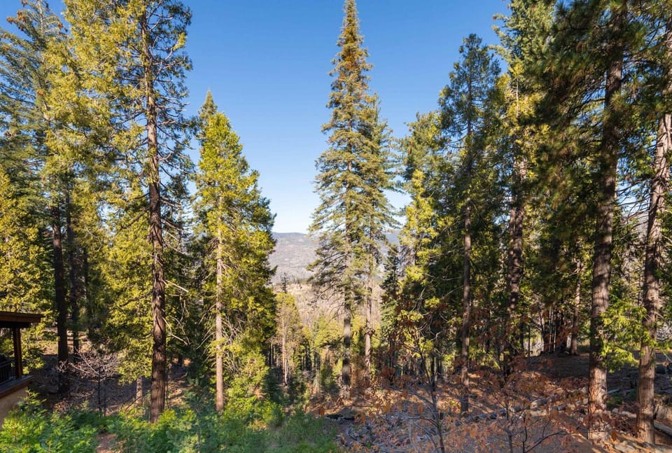 Yosemite Aviary - Bird's Eye View Awesome Upper Unit House in Tuolumne County