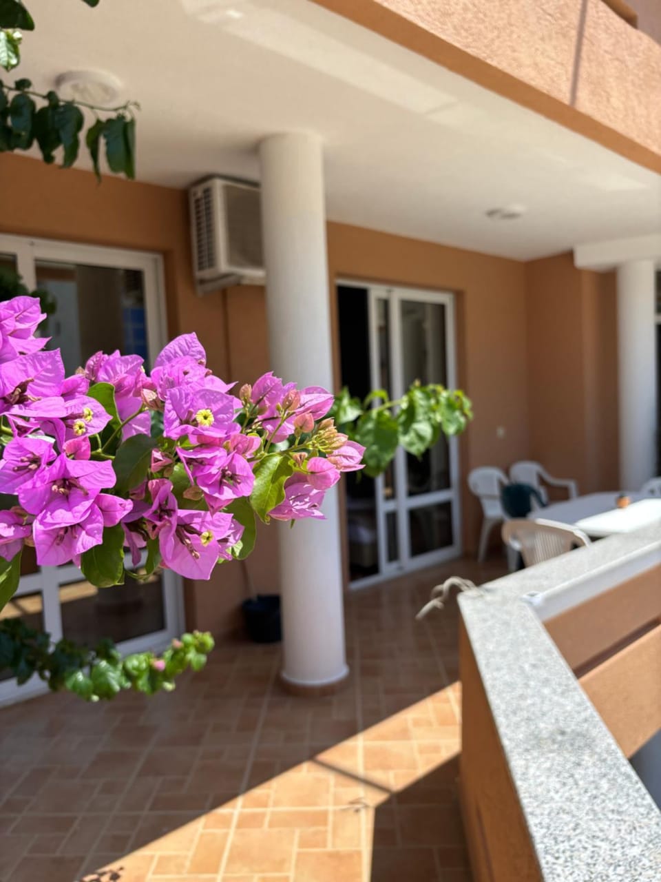 Patio, Day, View (from property/room), Dining area, Garden view