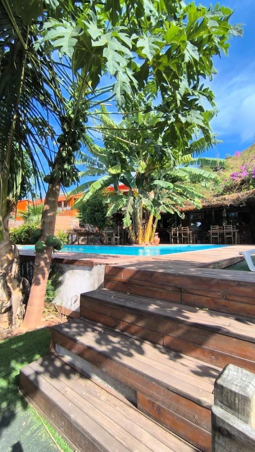 Spring, Natural landscape, Garden, Garden, Lounge or bar, Garden view, Swimming pool