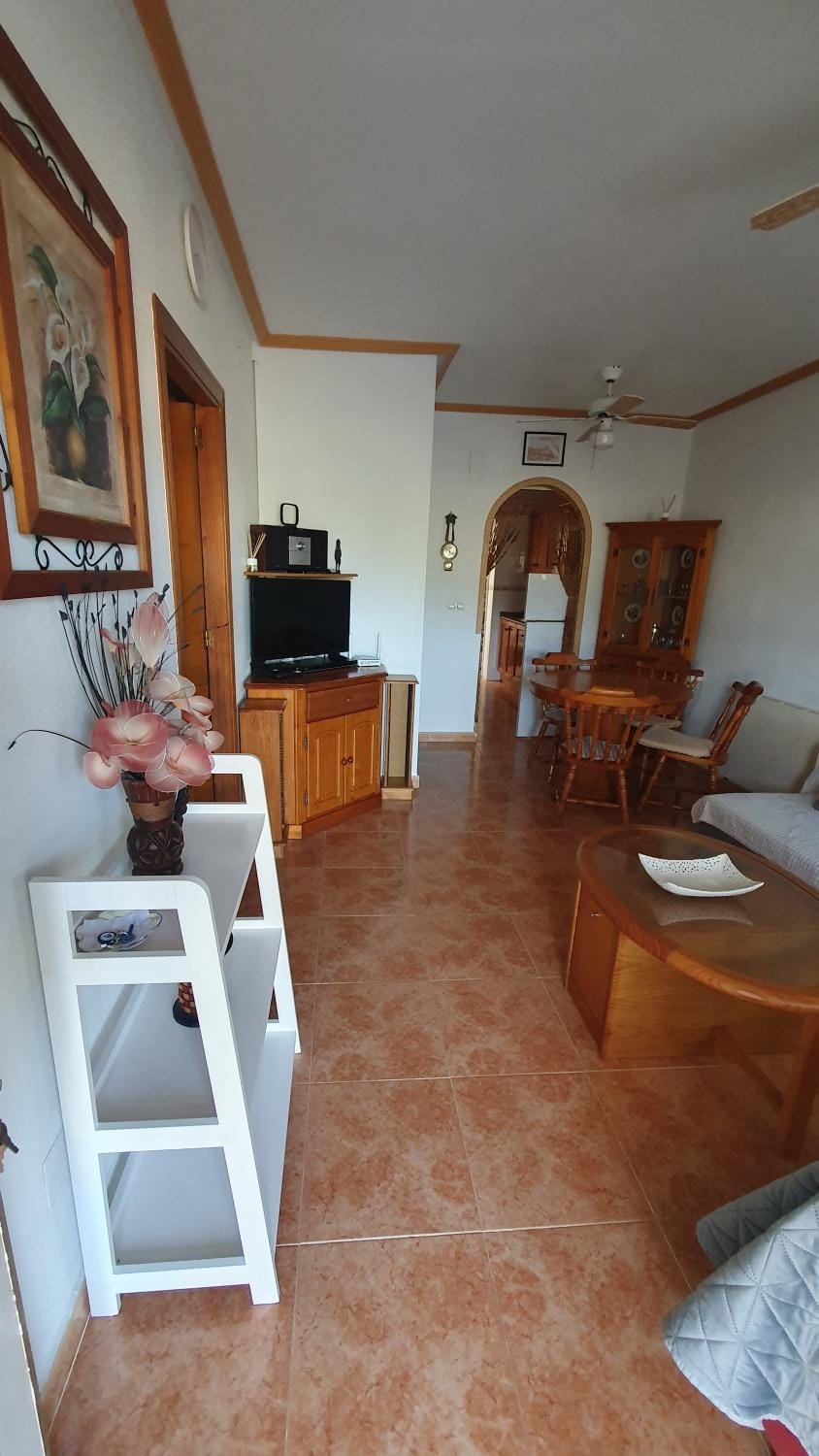 Apartment house Sungrila, 3 rooms, kitchen and terrace Apartment in Torrevieja