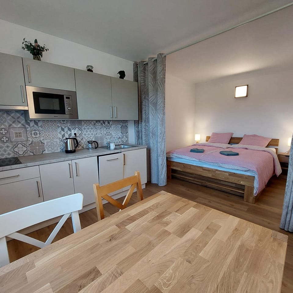 Kitchen or kitchenette, Photo of the whole room, Bedroom