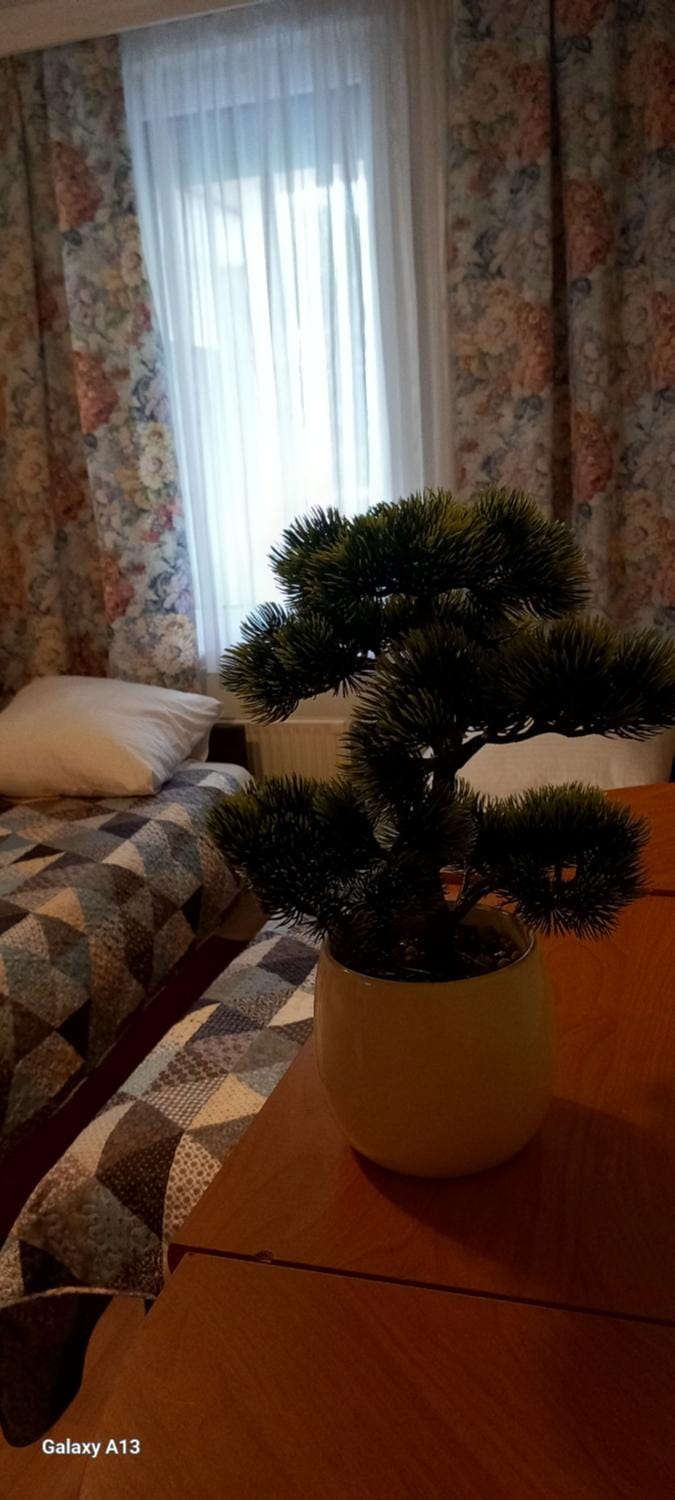 Favorite apartment Apartment in Hévíz