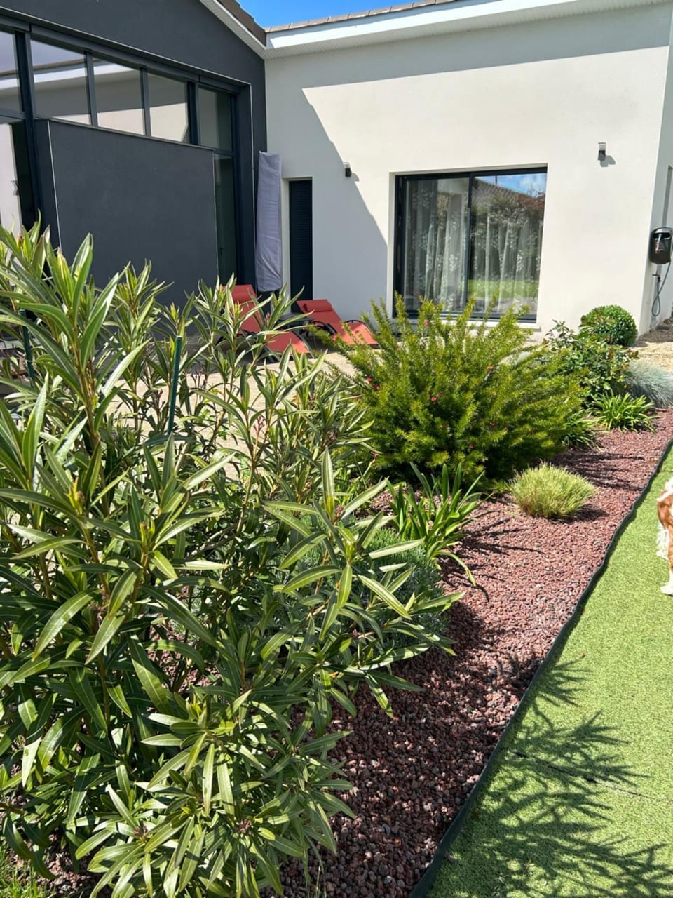 Garden view