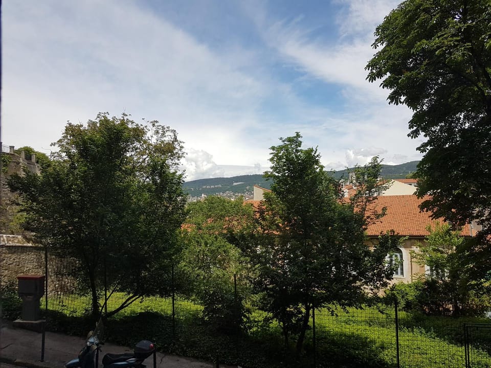 View (from property/room)