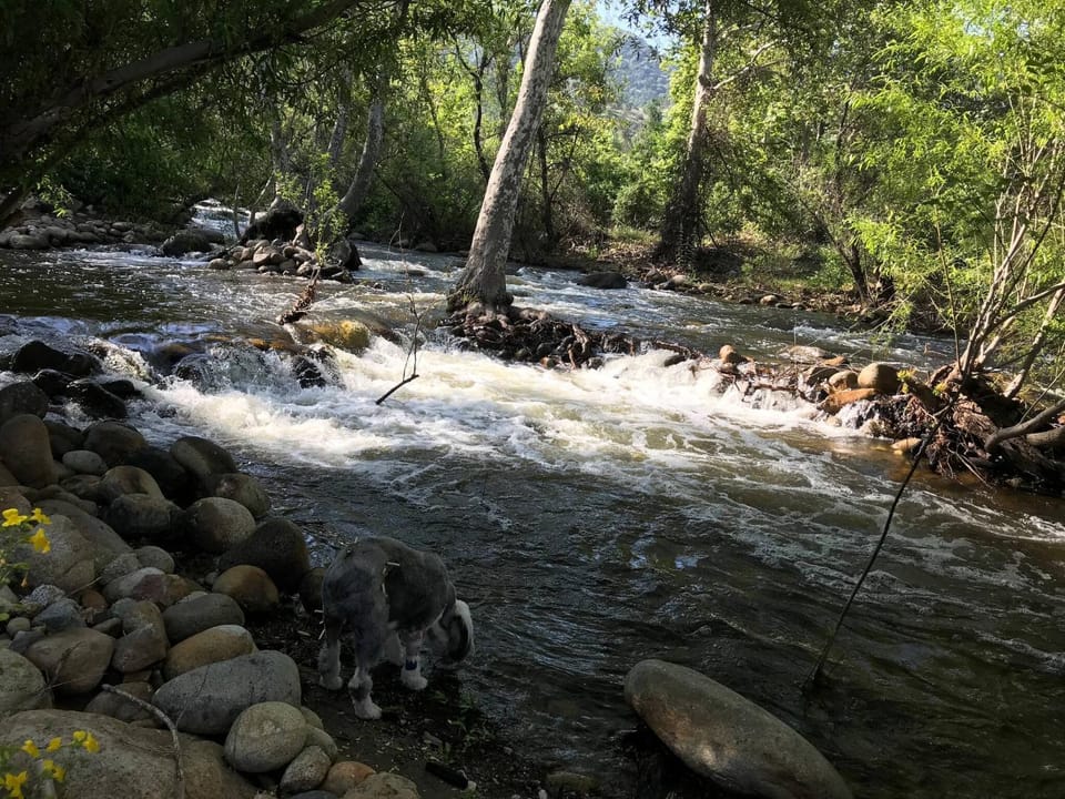 Natural landscape, Activities, River view