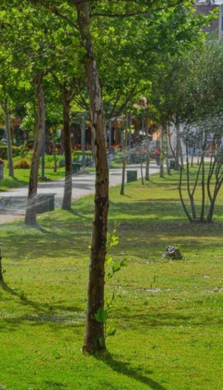 Day, Natural landscape, Garden