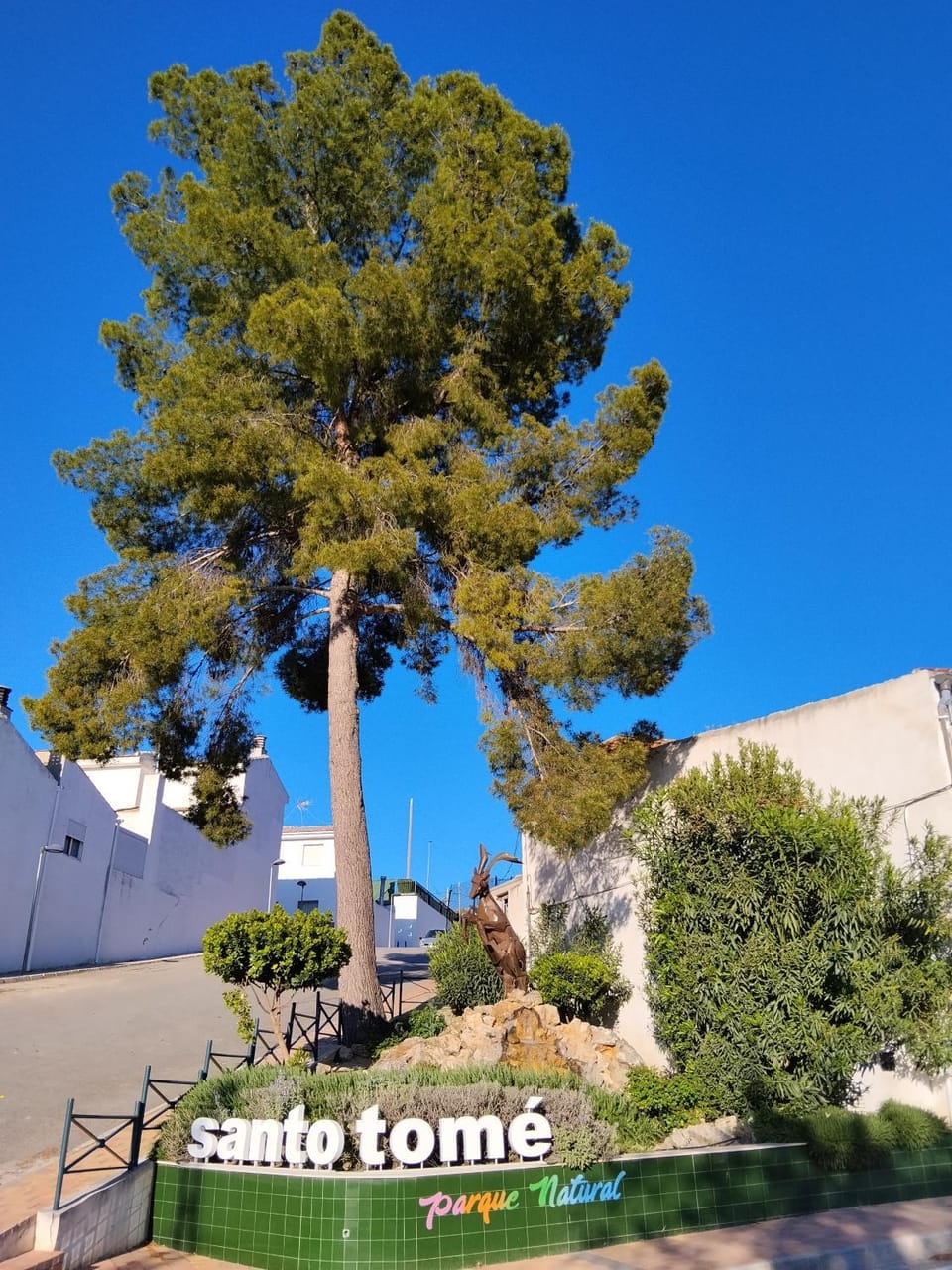 Day, Street view