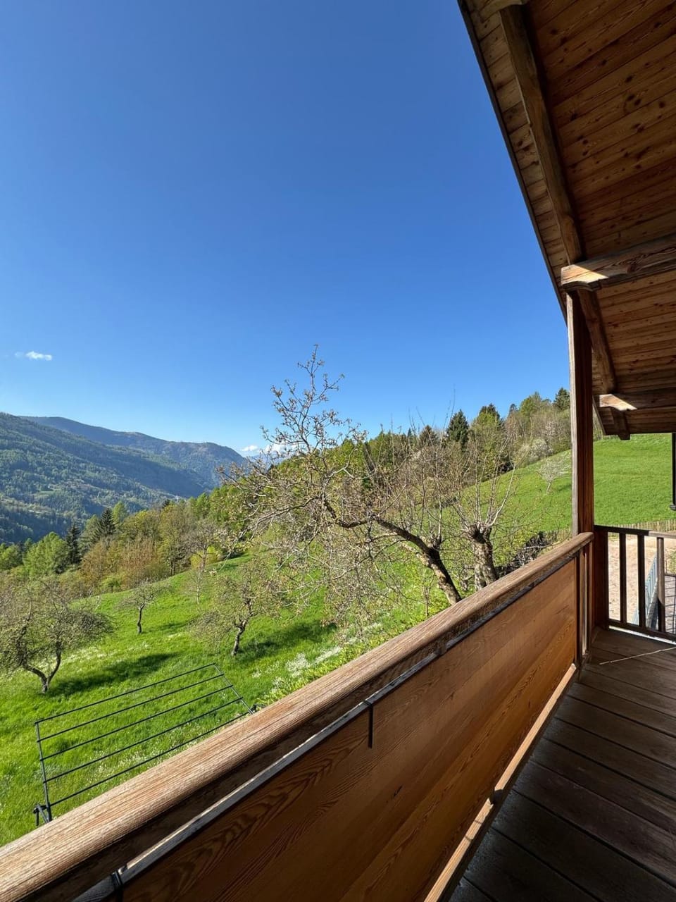 Appartamenti Blumen Stube Apartment in Trentino-South Tyrol