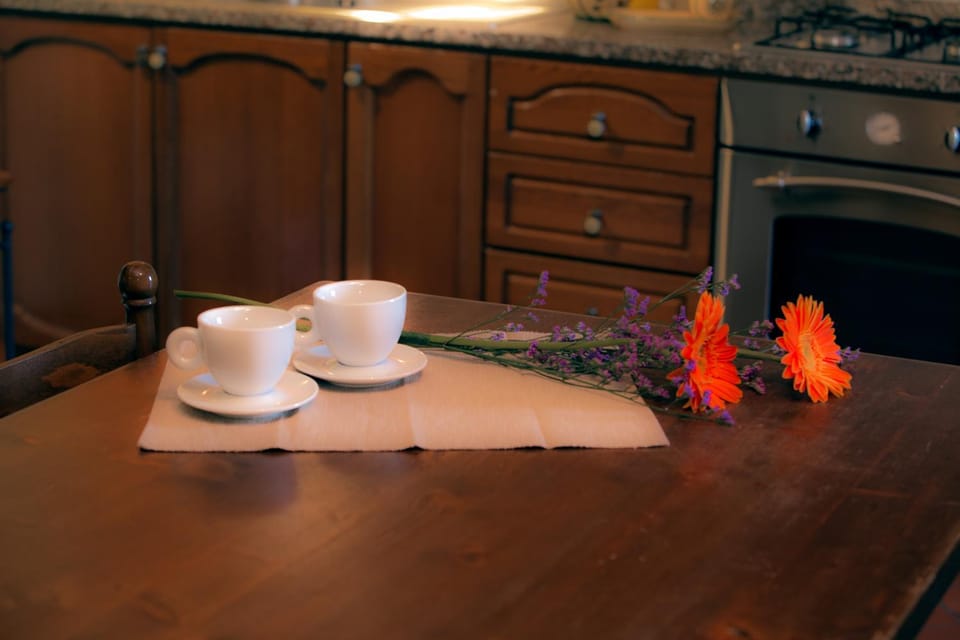 Guido's House Apartment in Castiglion Fiorentino