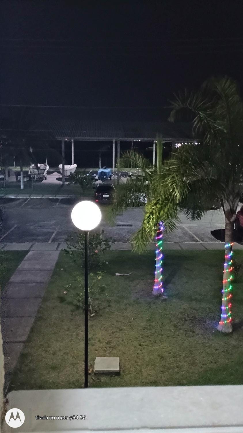 Night, Natural landscape, Garden view, Swimming pool