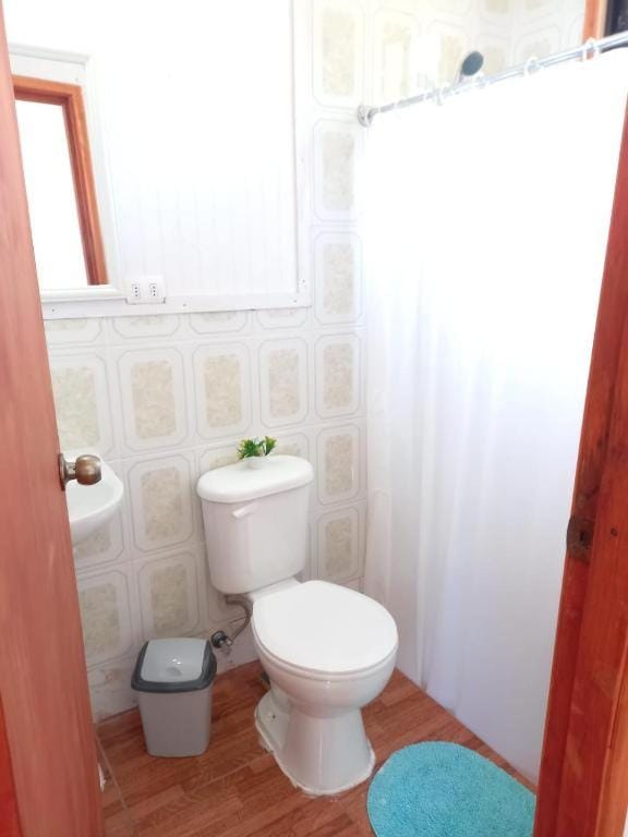 alojamiento Fernanda Bed and Breakfast in Los Ríos, Chile