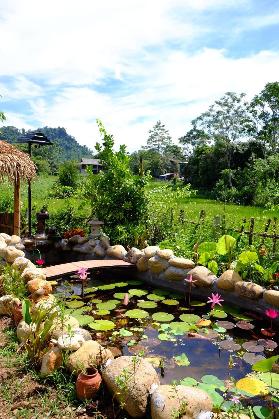 Garden view