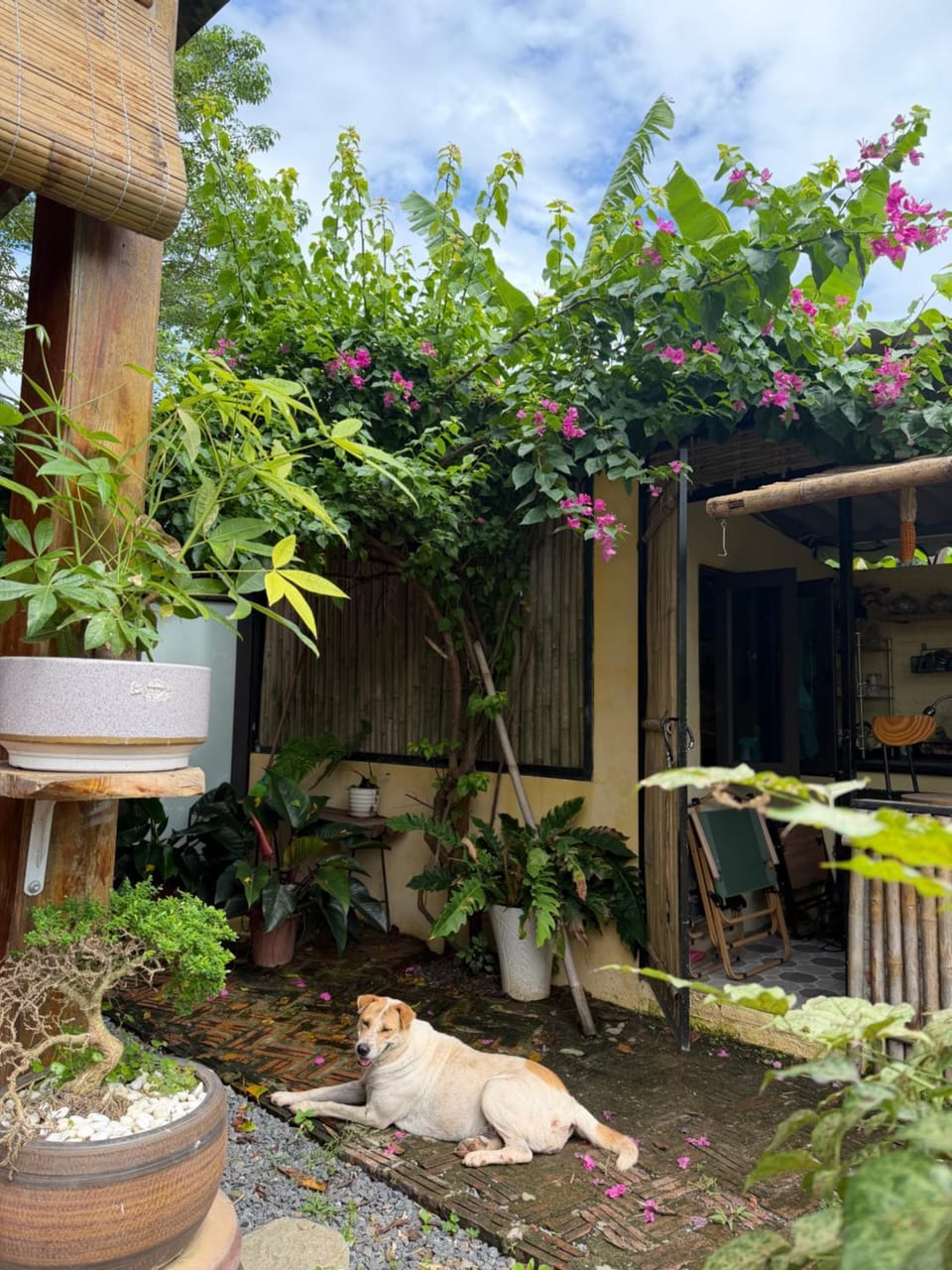 TRADITIONAL STILT HOUSE - The Bare Nest Retreat - Xóm Đung Homestay Nature lodge in Vietnam