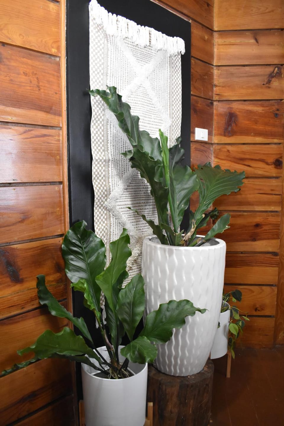Affordable Home in Baguio House in Baguio