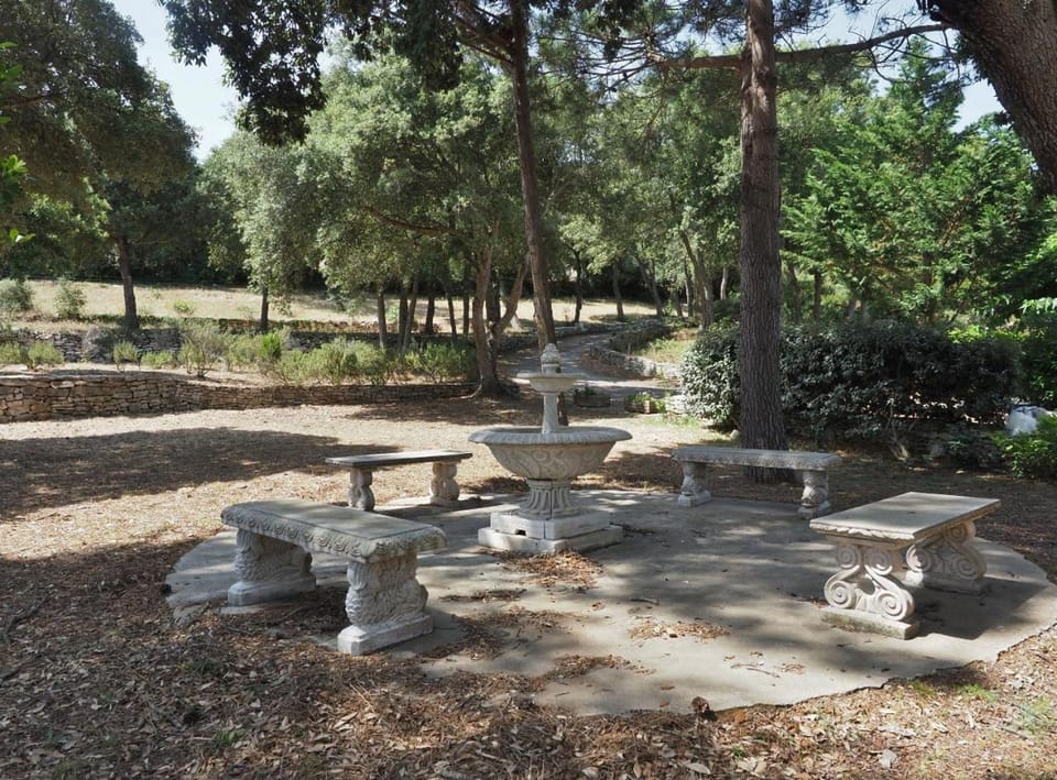 Garden view