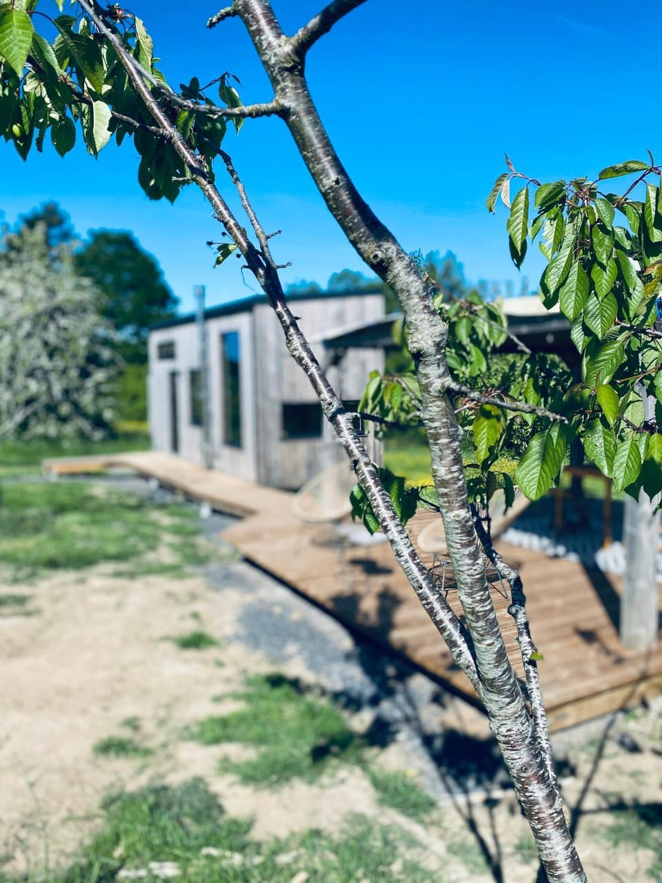 Tinyhouse au coeur d'un vignoble Country House in Wallonia, Belgium