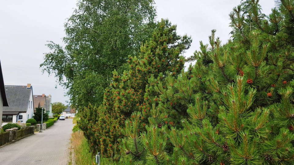Neighbourhood, Street view