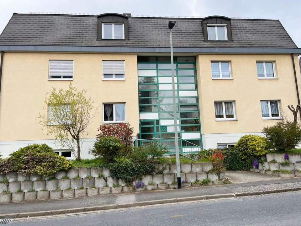 Property building, Day