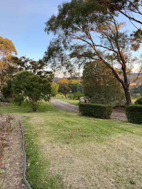 Painters Studio , Home On the Hill Bed and Breakfast in Bowral