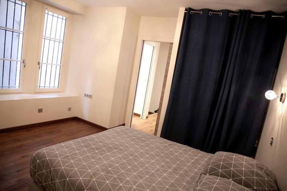 Appartement hyper centre-ville historique 80 m2 Apartment in Chambery