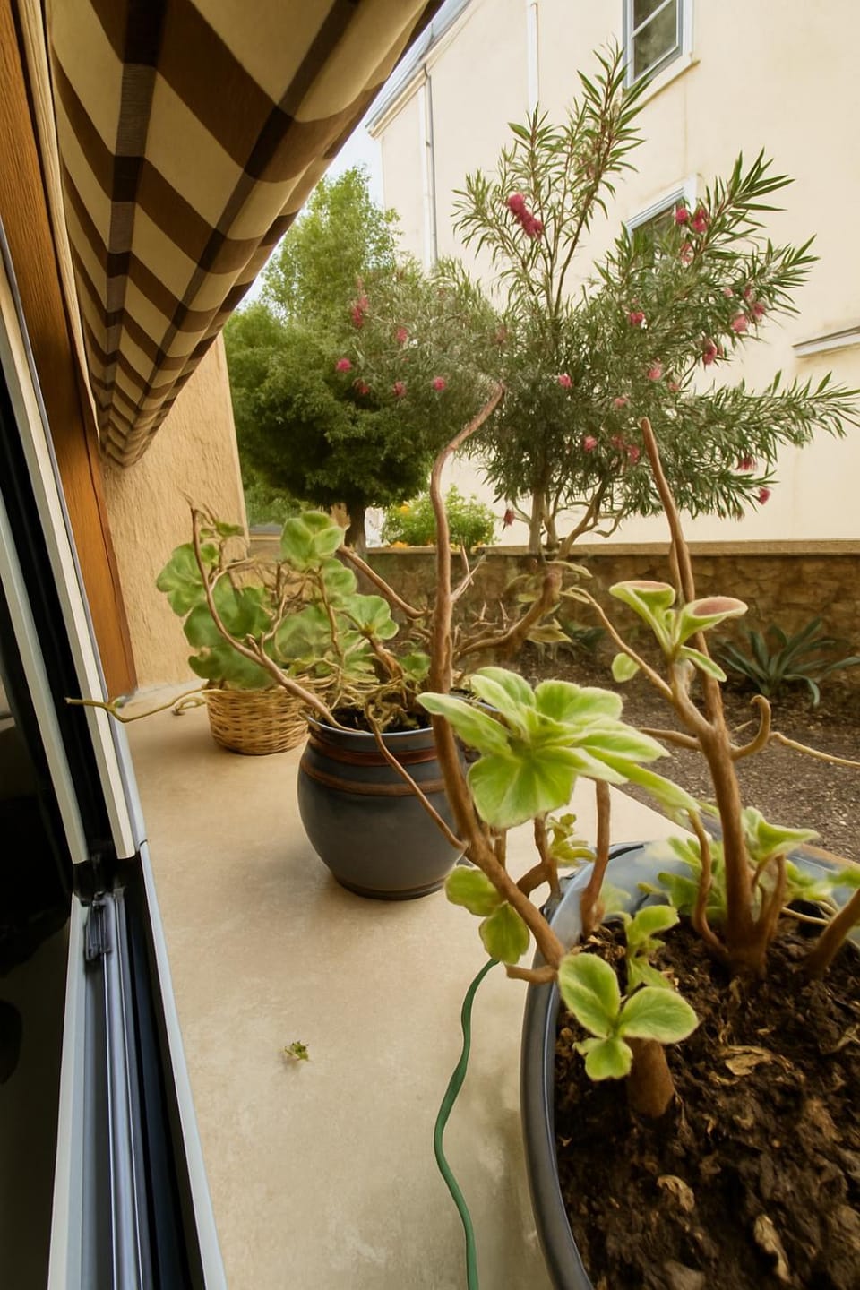 View (from property/room)