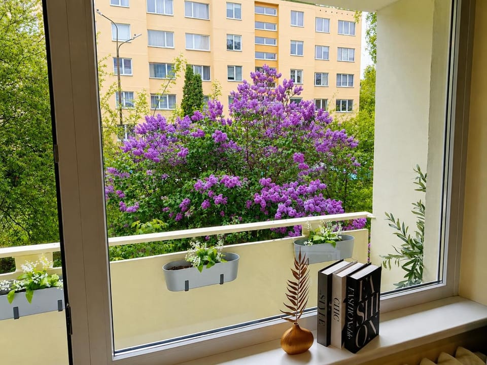 Ramybes Oaze, Nauji stylingi apartamentai Apartment in Lithuania