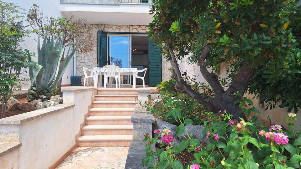 Property building, Garden