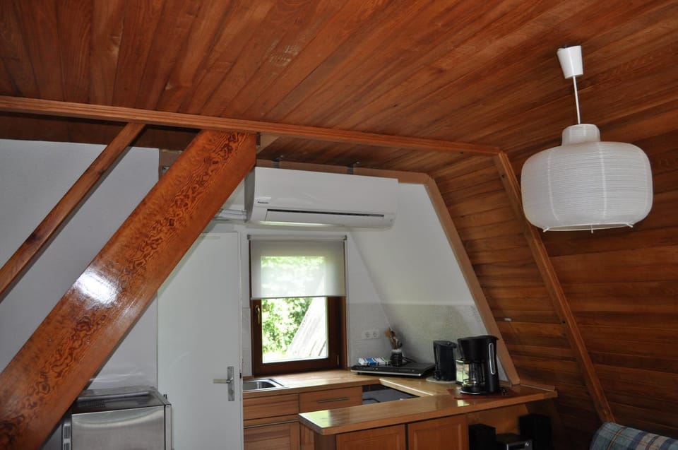 Finnhütte-mit dem Gesang der Vögel erwachen House in Plau am See