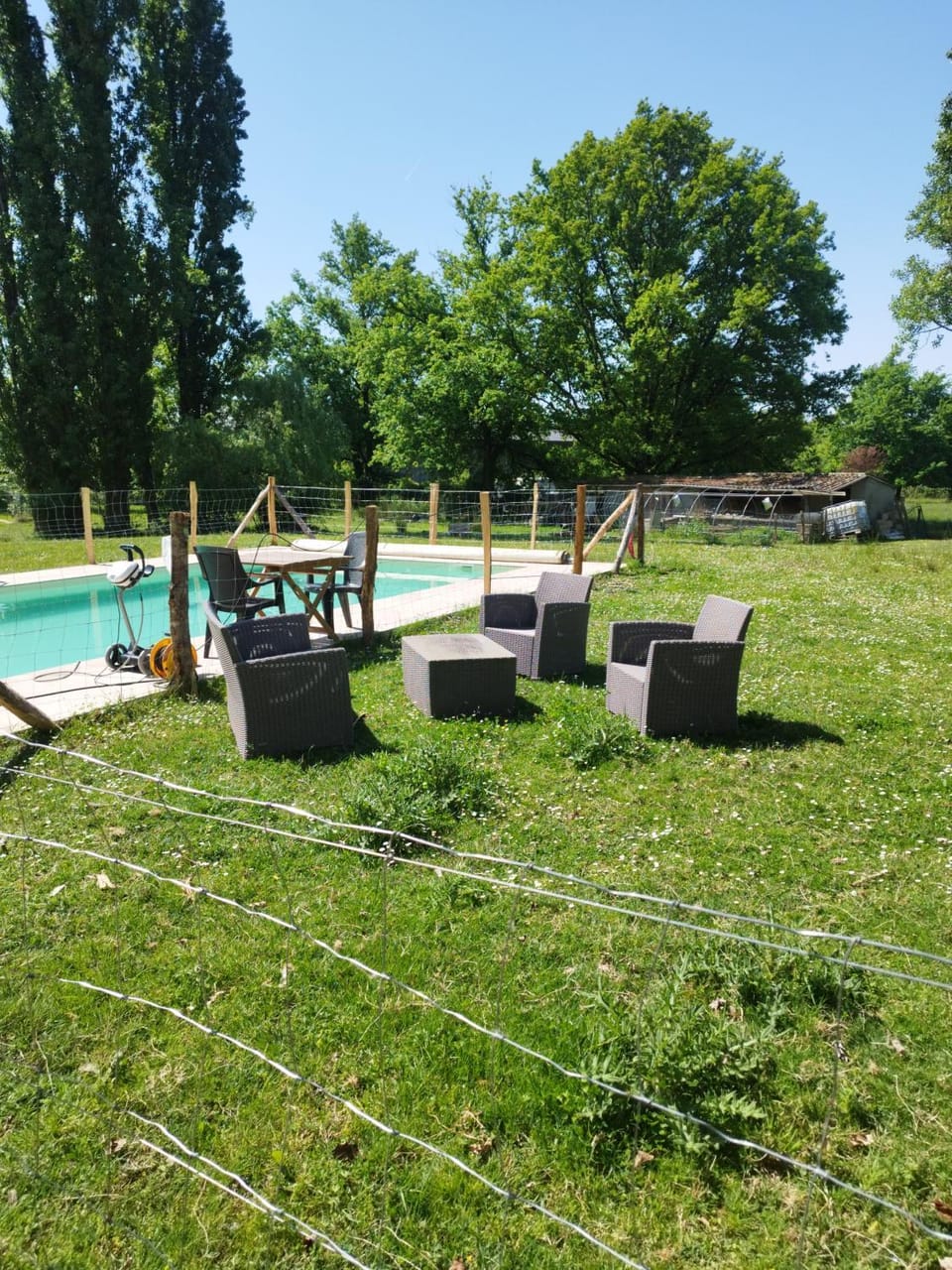 Garden, Garden, Swimming pool