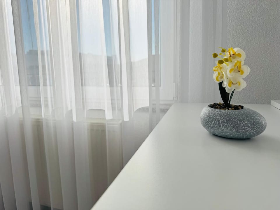 Rajas Apartment Apartment in North Macedonia