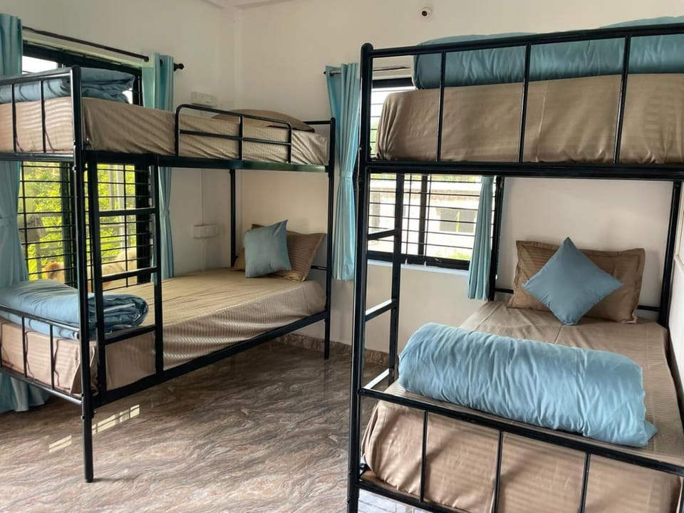 bunk bed