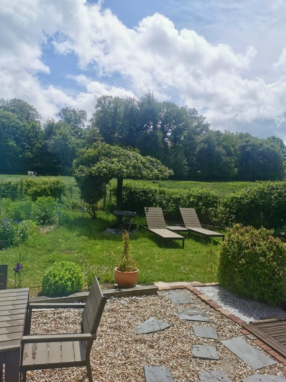 Natural landscape, Garden, sunbed