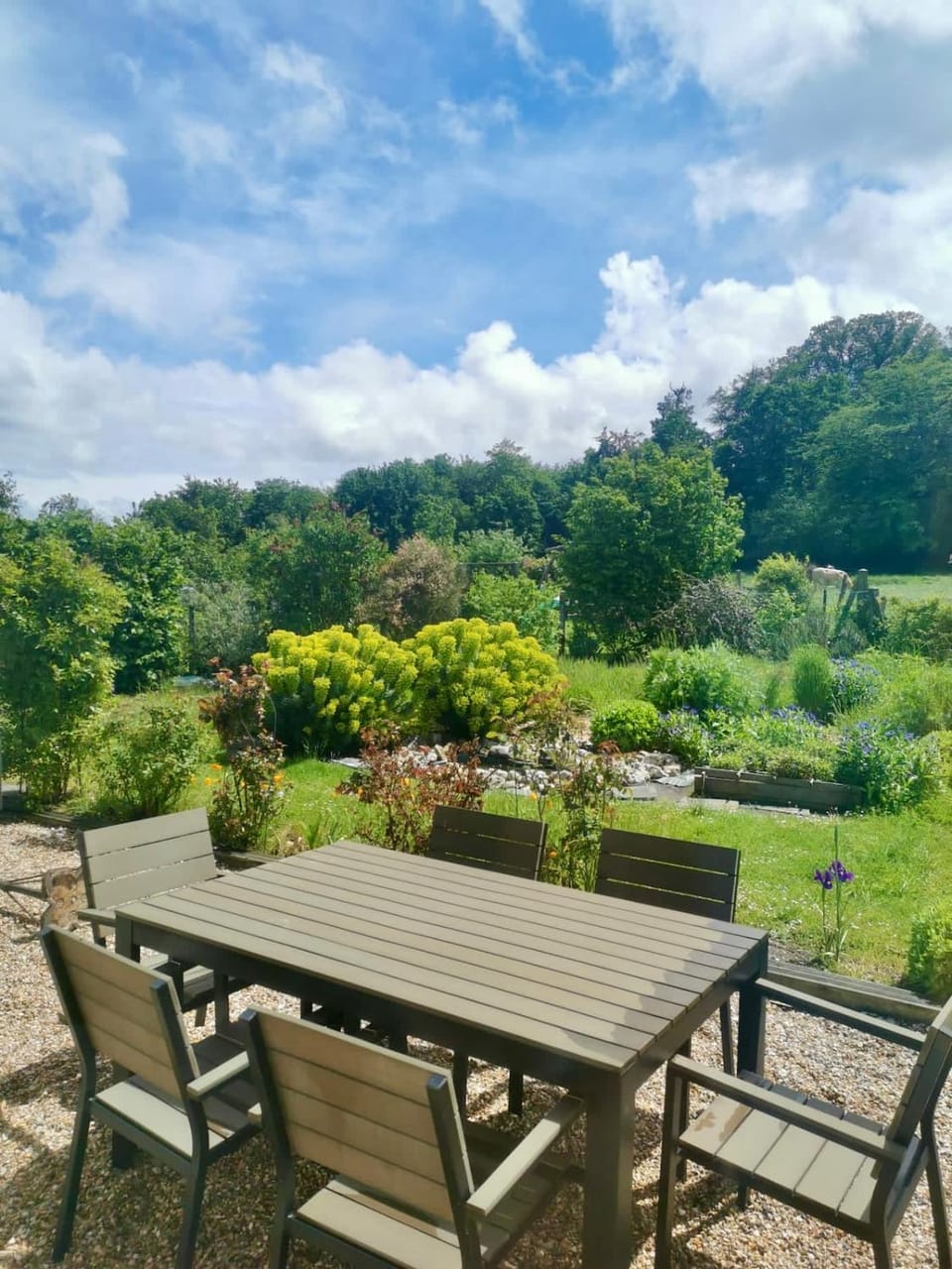 Patio, Natural landscape, Garden, Dining area