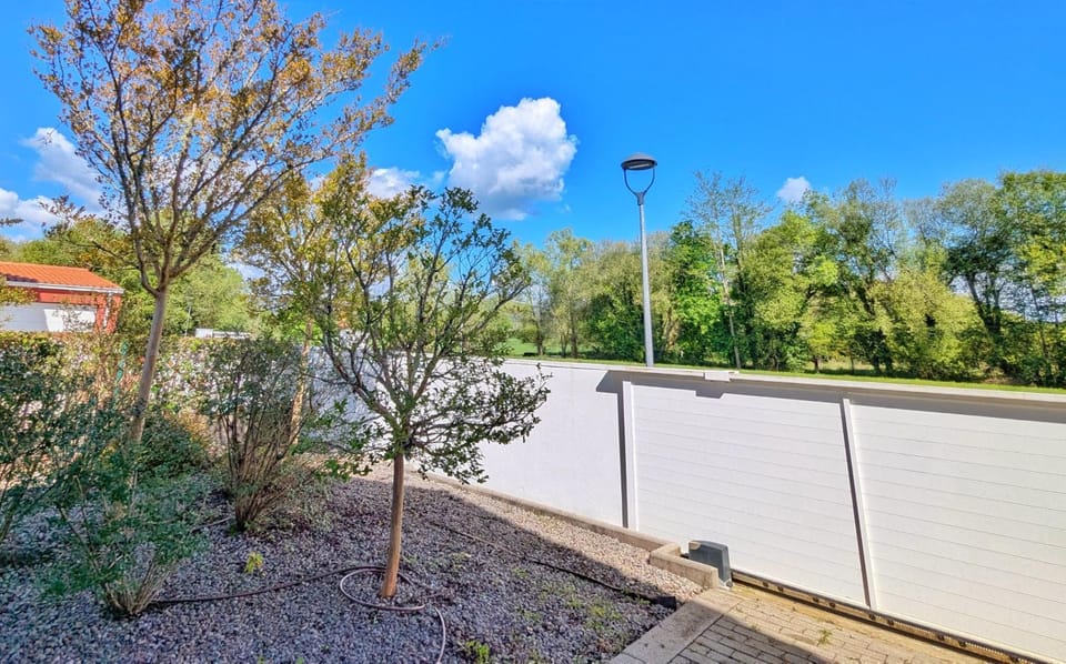 Day, Natural landscape, Garden, Garden view